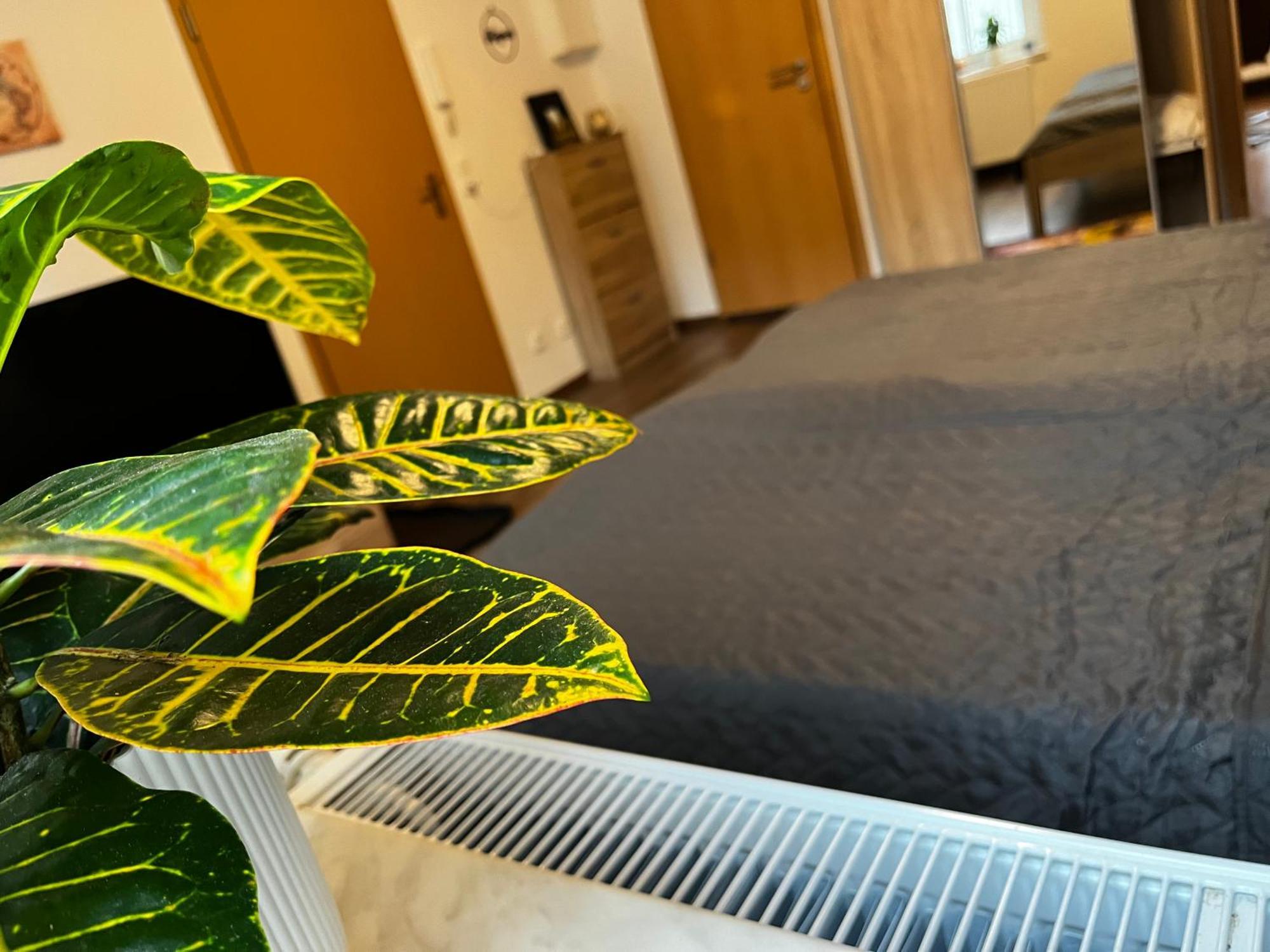 Karli'S Plaetzchen Apartment Gera Luaran gambar